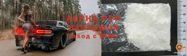 спиды Бородино