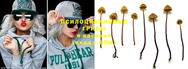 гашик Бугульма