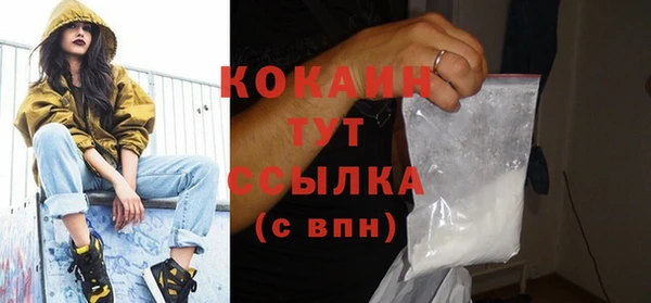 спиды Бородино