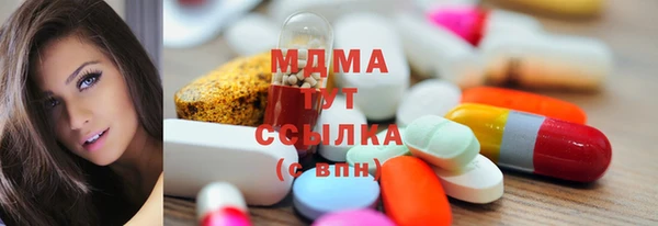 спиды Бородино