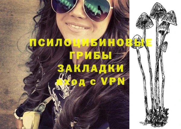 гашик Бугульма