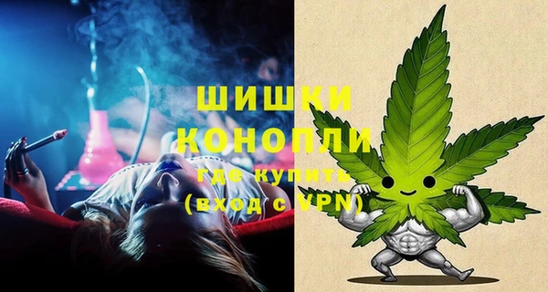 спиды Бородино