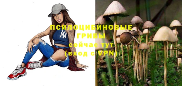 гашик Бугульма