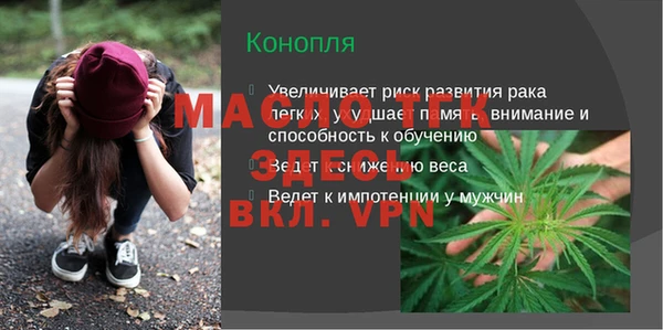 спиды Бородино