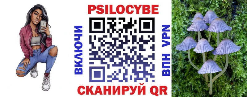 ссылка на мегу ссылки  цены   Сосногорск  Псилоцибиновые грибы Psilocybe 